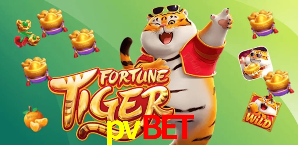 Player Reviews pvbet